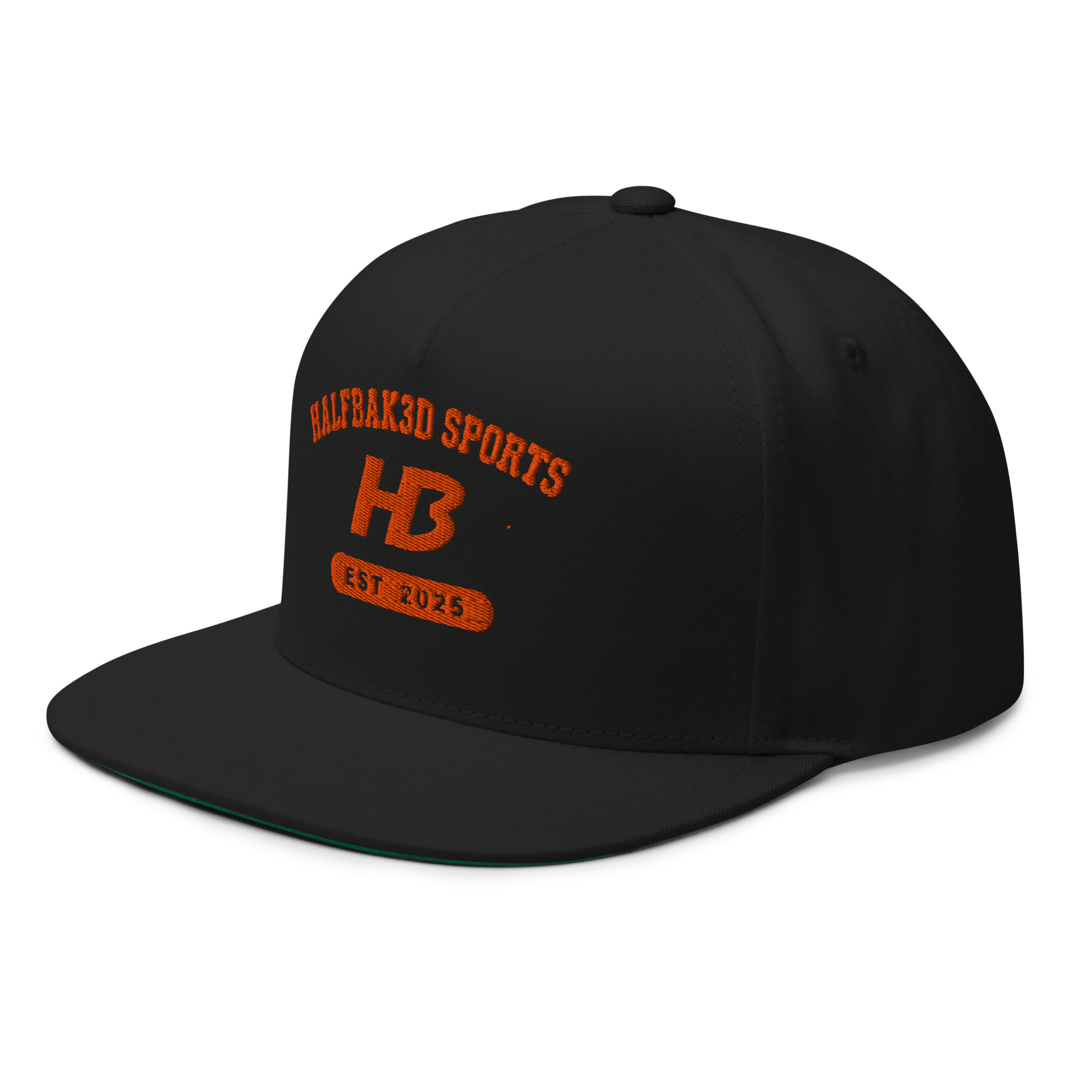 H3 Flat Bill Cap — Logo (First Edition) - Image 5
