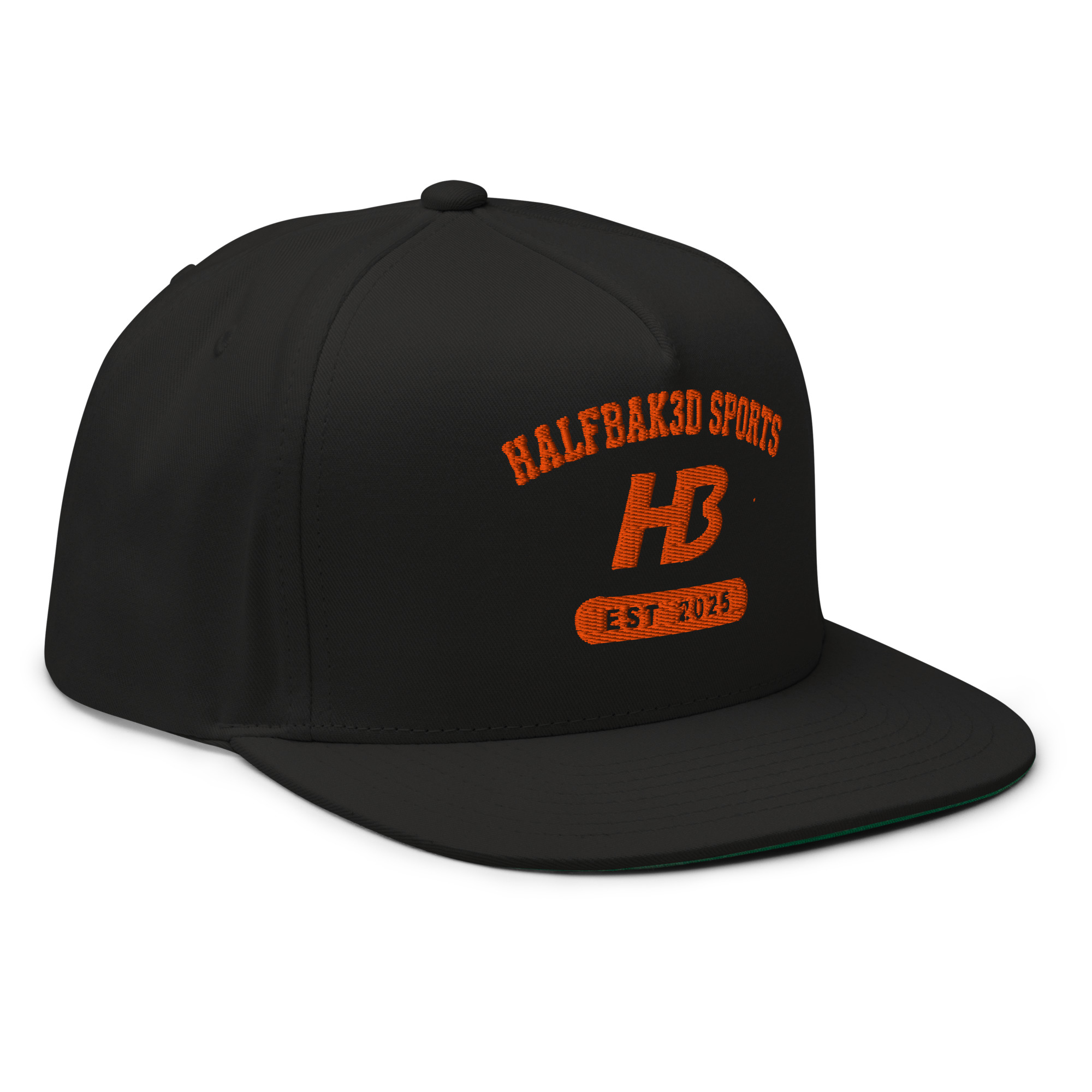 H3 Flat Bill Cap — Logo (First Edition) - Image 4