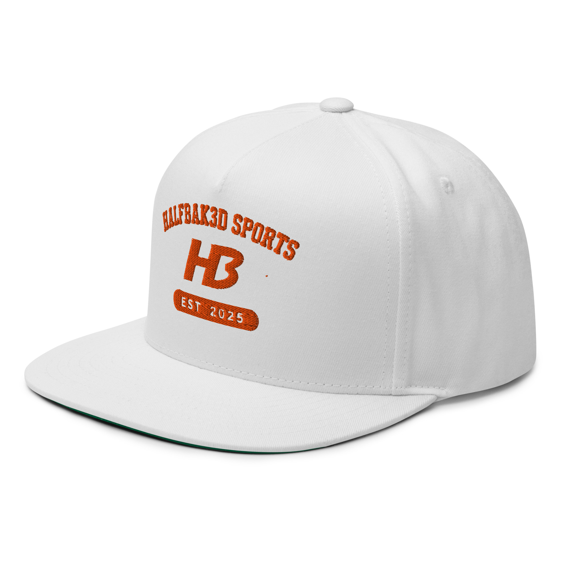 H3 Flat Bill Cap — Logo (First Edition) - Image 4
