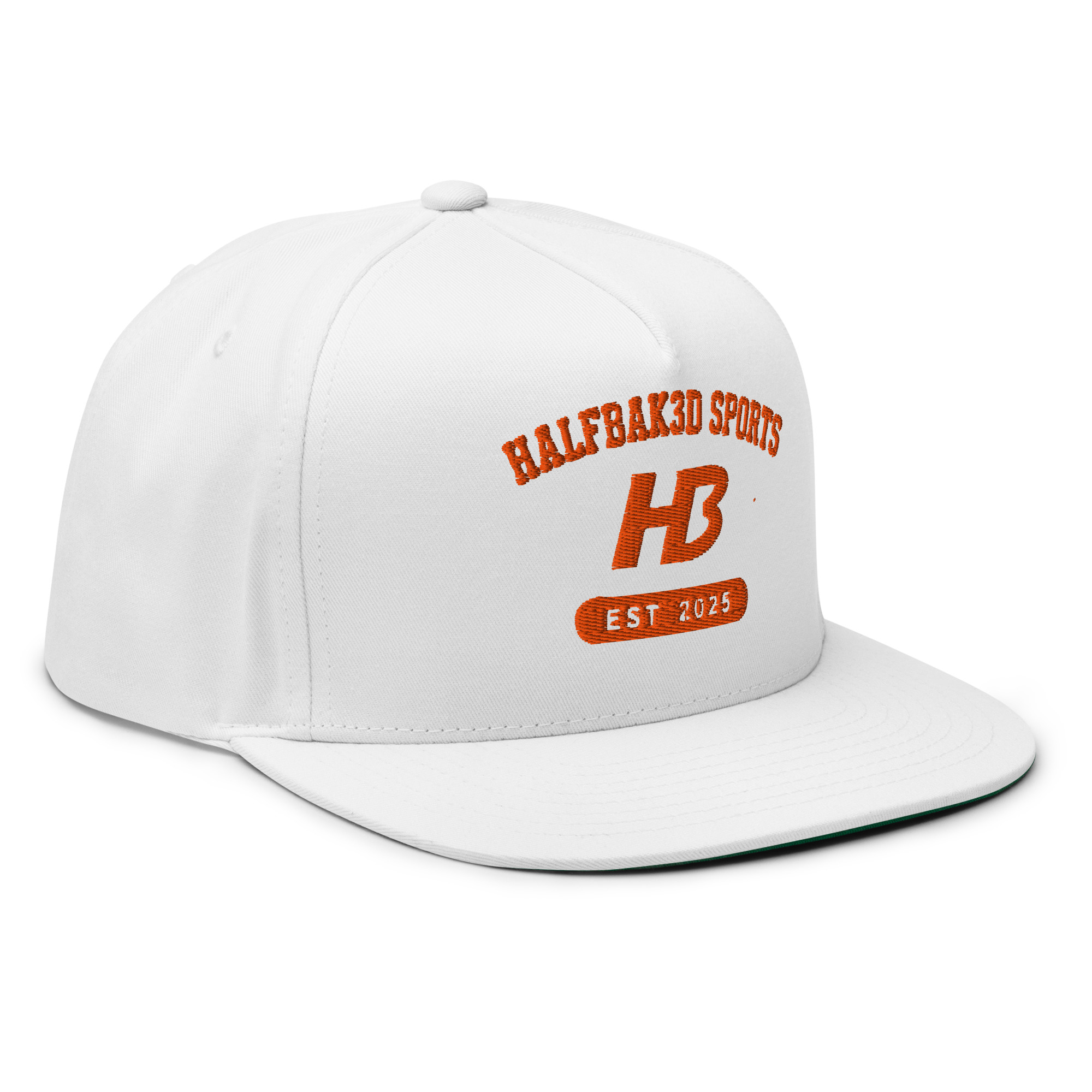 H3 Flat Bill Cap — Logo (First Edition) - Image 3